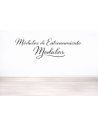 Módulos de Entrenamiento Modular